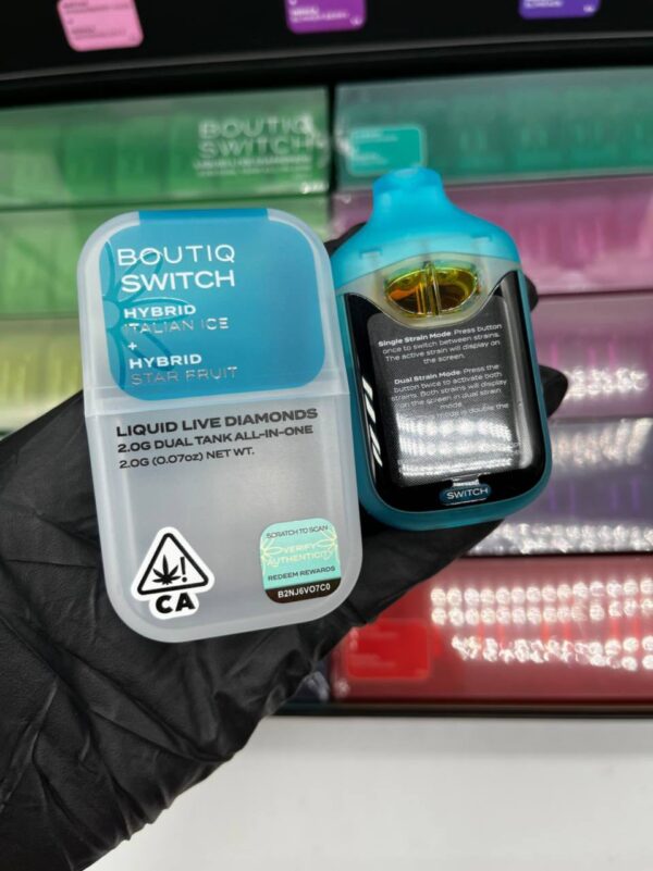 Boutiq Swtch V4 Disposable 2G