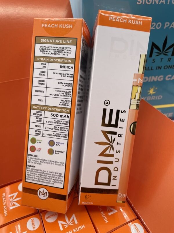 Dime industries 1g disposable