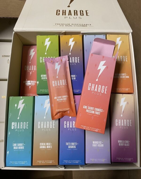charge plus 2g disposable