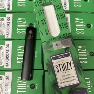 Stiiizy 1G Disposable