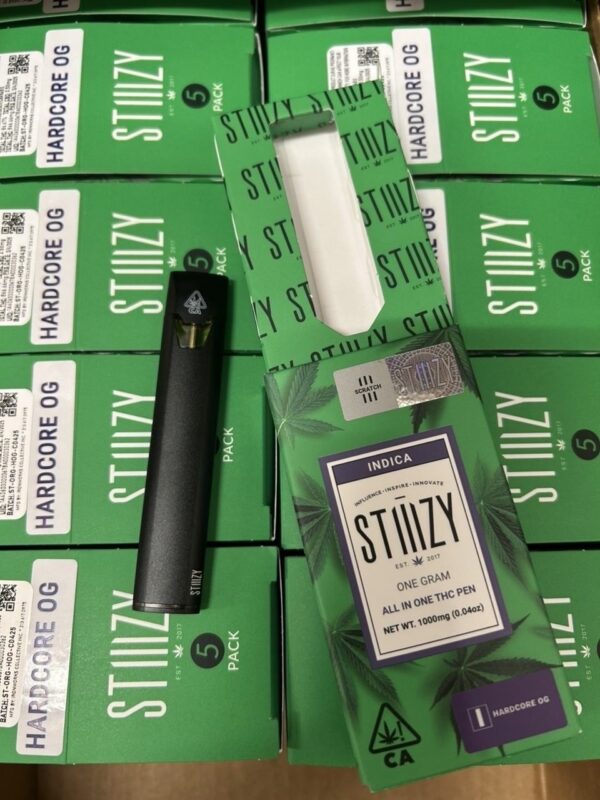 Stiiizy 1G Disposable